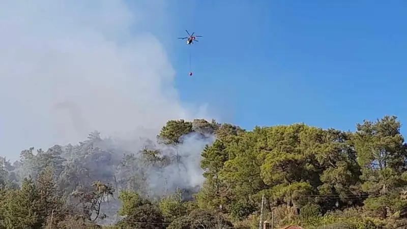 Туркиянинг Анталия шаҳрида ўрмон ёнғинлари ўчирилмоқда