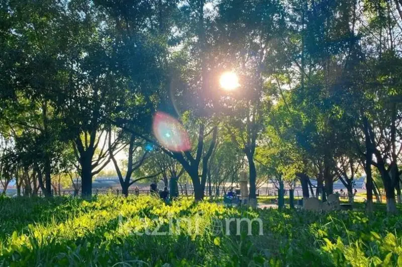 سارسەنبىدە بىرنەشە وڭىردە 44-45 گرادۋس ىستىق بولادى