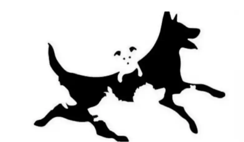 سۋرەتتەن نەشە ءيت كوردىڭىز؟