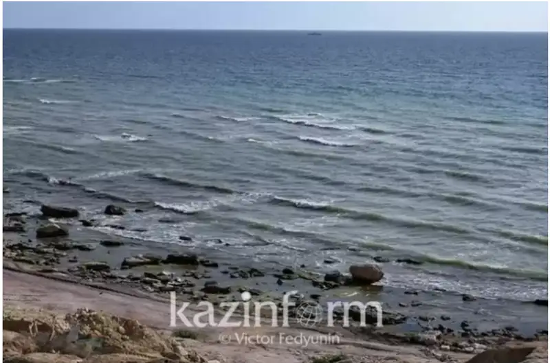 كاسپي ارالدىڭ تاعدىرىن قايتالاۋى مۇمكىن بە - تاۋەلسىز ەكولوگ پىكىرى