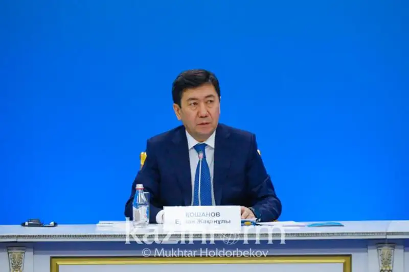 Норма об экс-президенте в Конституции РК дает право на защиту чести и достоинства - спикер Мажилиса