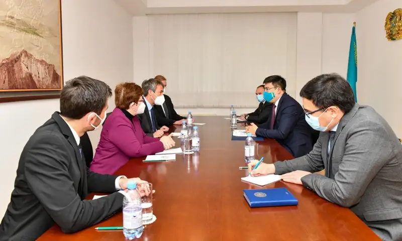 副外长会见德国议员