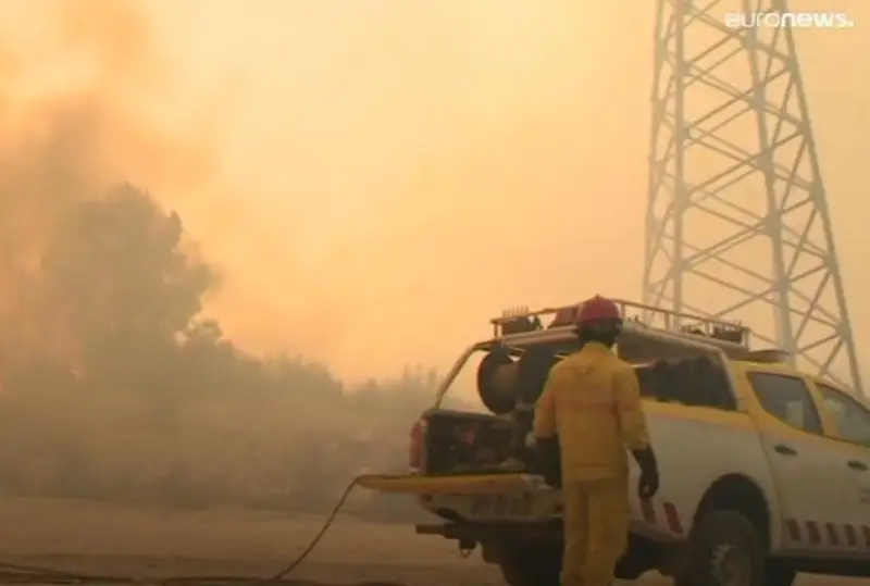 Португалия ҳалокатли ўрмон ёнғинлари билан курашмоқда