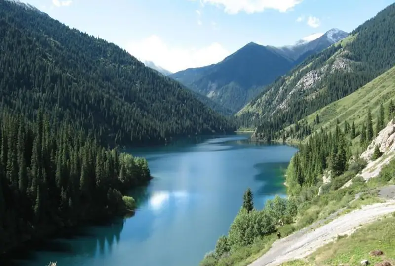 «Кўлсой кўллари» миллий боғи ҳудудида қор барси фотоқопқонга тушди