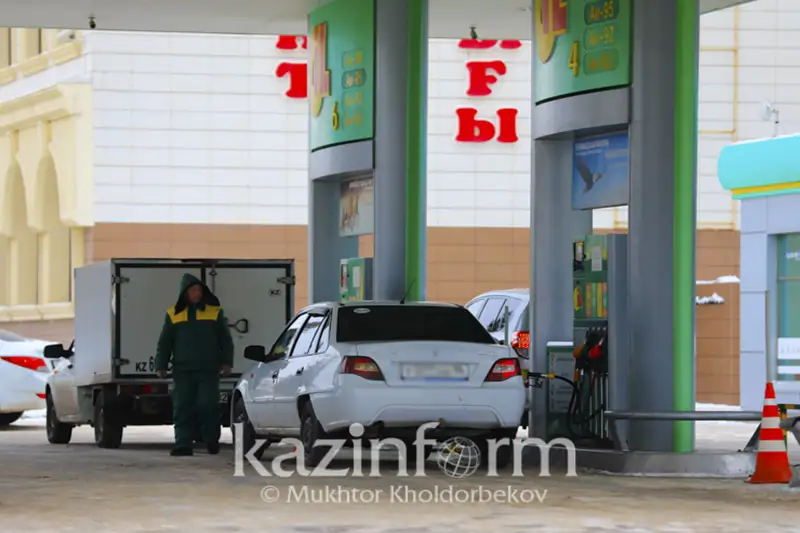 مەملەكەت باسشىسى جانار-جاعارماي باعاسىنا قاتىستى پىكىر ءبىلدىردى