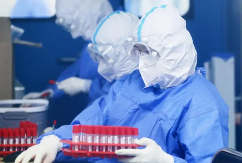 Новый вид генипавируса выявили в Китае