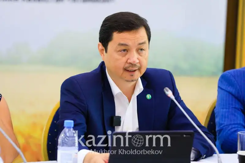 Потери доходов производителей маслосемян будут колоссальными – Зерновой союз Казахстана