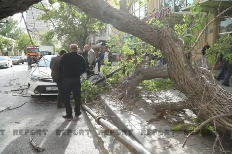 Бокуда кучли шамол кўтарилди