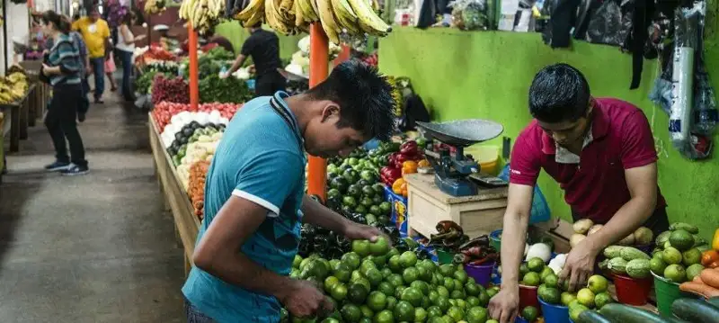 联合国开发署：全球50%最贫困人口亟需债务减免