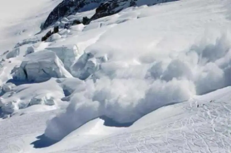 الماتى تاۋلارىندا قار كوشكىنى جولدى جاۋىپ قالدى