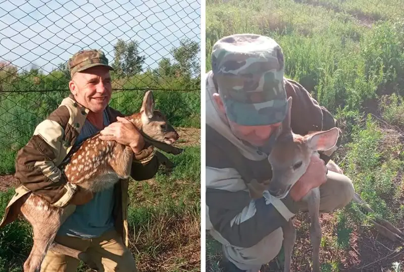 تۇركىستاندا بۇقار بۇعىلارى تولدەپ جاتىر