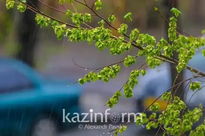 Қозоғистонда 4-6 июль кунлари кутилаётган об-ҳаво маълумоти