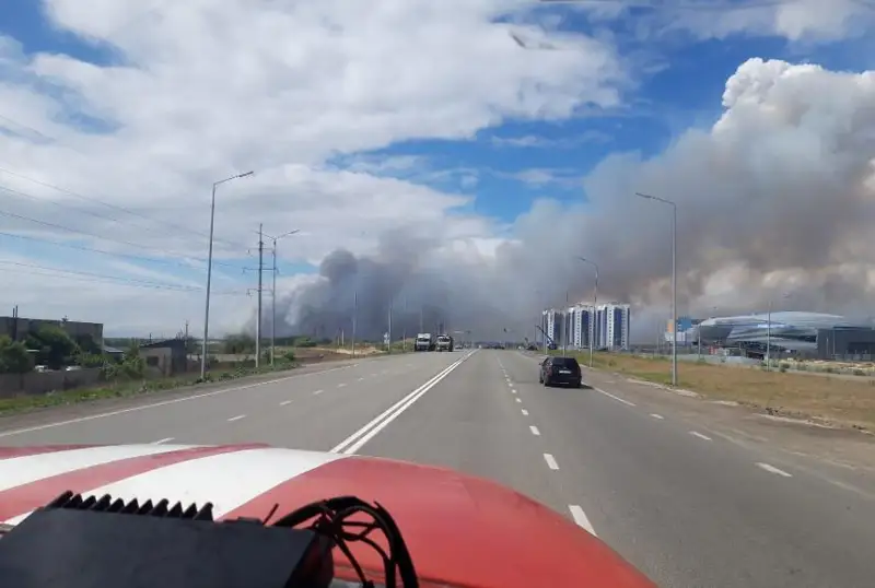 Около 400 человек ликвидируют крупный лесной пожар в Семее