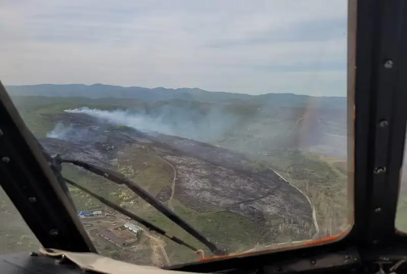 شىعىس قازاقستان وبلىسىندا دالا ءورتى ءورشىپ تۇر