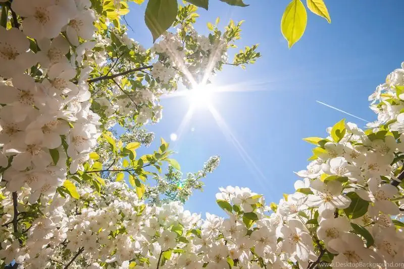 Қозоғистонда ҳаво ҳарорати 33 даражагача кўтарилади