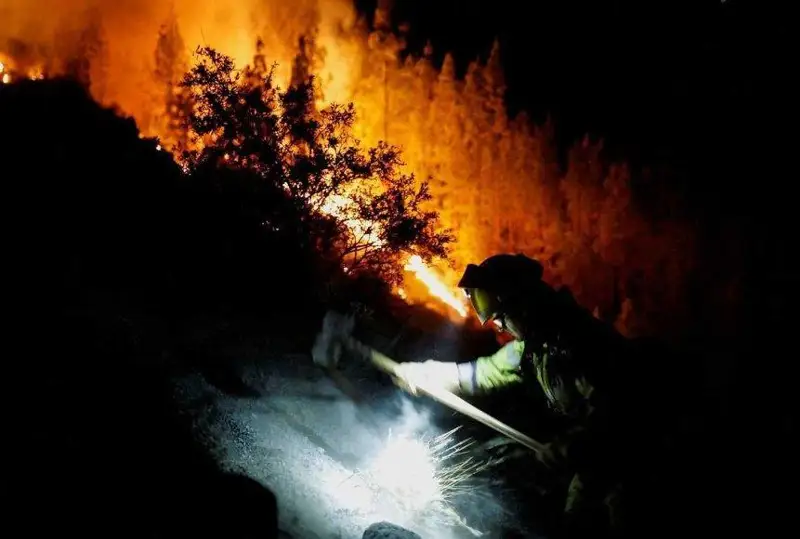 Тенерифе оролида ўрмон ёнғинларини ўчириш ишлари олиб бориляпти