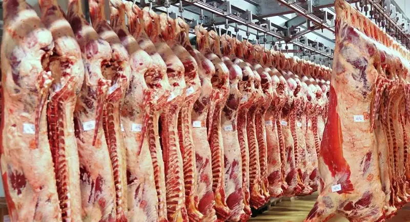 哈萨克斯坦肉制品进口量有所下降