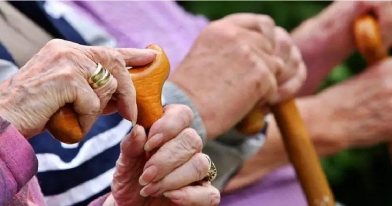 كىمدەر 55 جاستان باستاپ زەينەتكە شىعاتىنى بەلگىلى بولدى