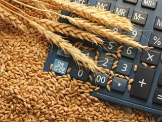哈粮企共收储各类粮食567.7万吨