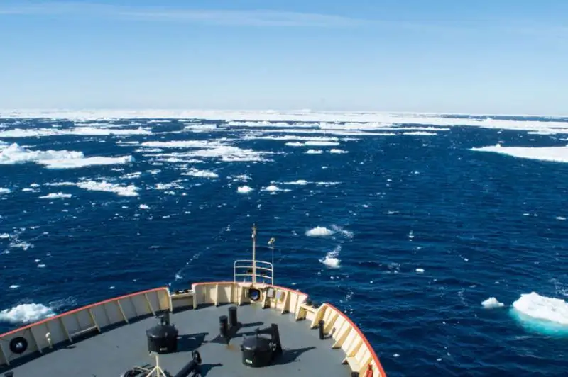 Антарктида соҳилида янги орол пайдо бўлди