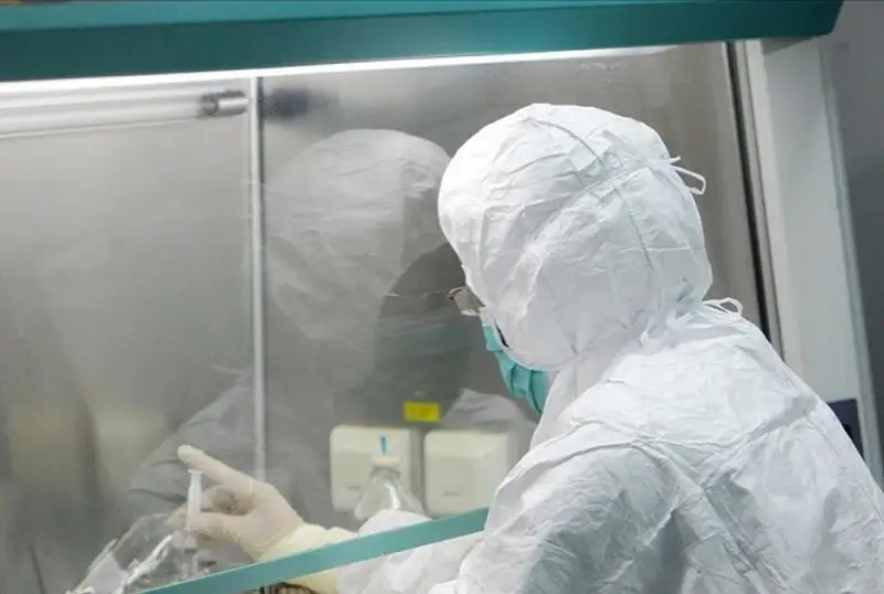 Маймун чечагига кимлар тез чалиниши айтилди