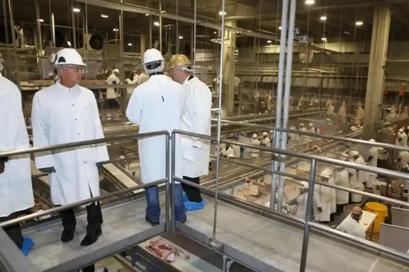 Америка компанияси болаларнинг хавфли меҳнати учун 1,5 миллион доллар жаримага тортилди