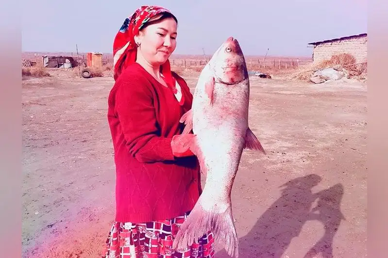 ەرتەگىدەگىدەي ءومىر ءسۇرىپ جاتىرمىز: جەتىسايدا بالىق اۋلاۋدى كاسىپ ەتكەن كەلىنشەك تۇرادى