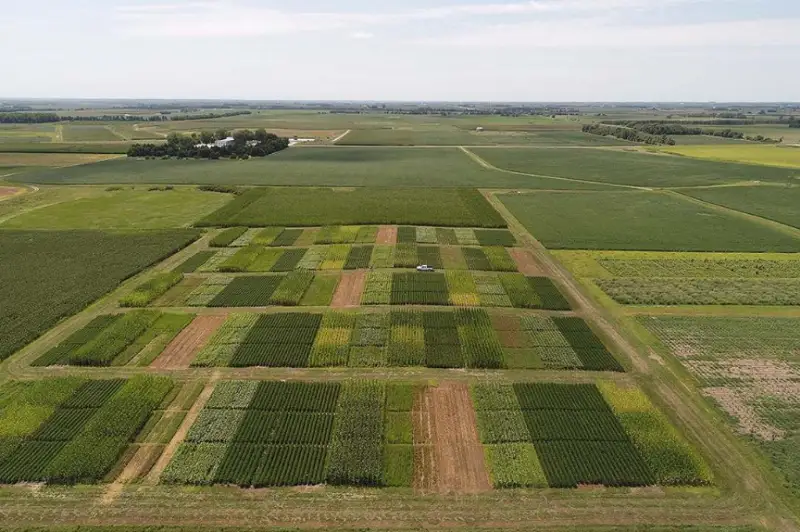 Ўзбекистонда юқори нархдаги дори воситаларини арзонлаштириш мақсадида 5 минг гектарга яқин плантациялар ташкил этилади
