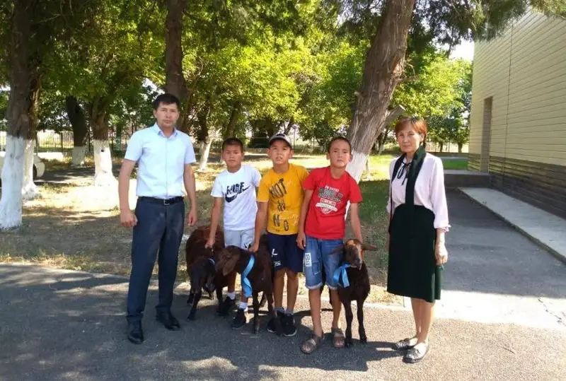 كىتاپ وقىپ، قوزى ال