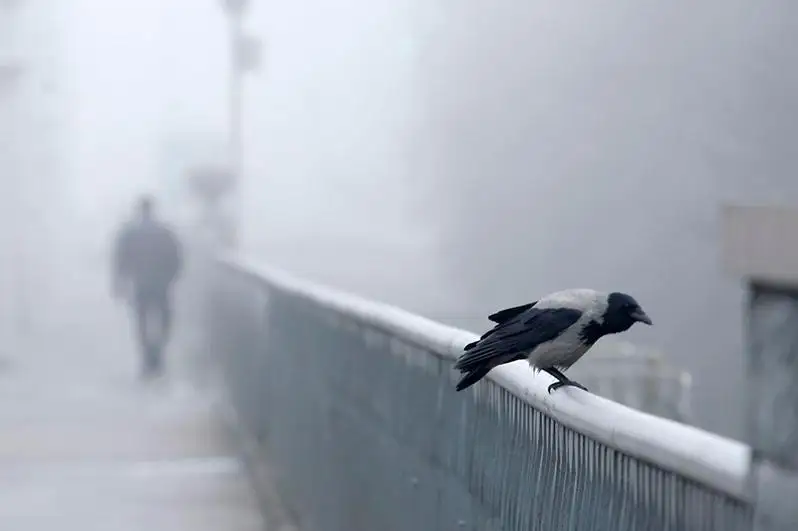 北哈州发布天气预警