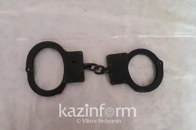 Казахстанца обвиняют в перевозке нелегальных мигрантов в Венгрии - МИД РК