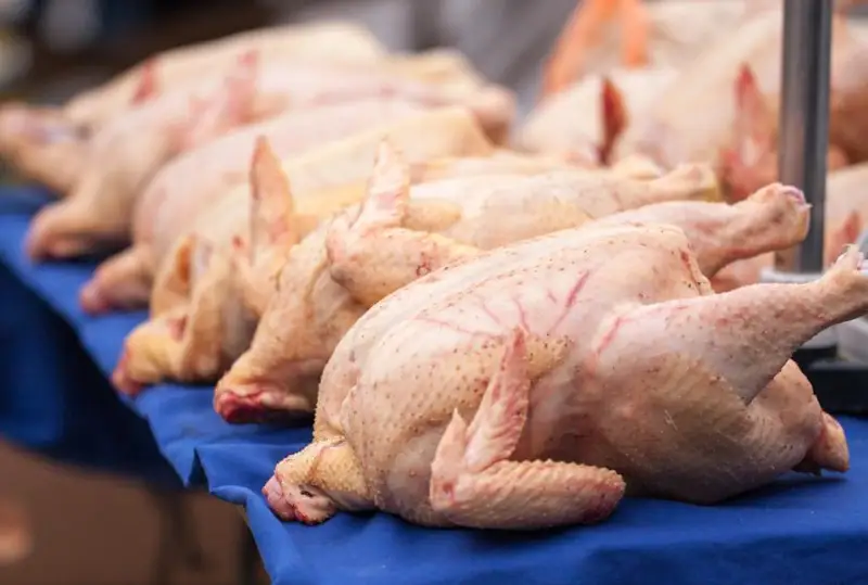 Более 1,5 тонны курятины уничтожили в Атырау
