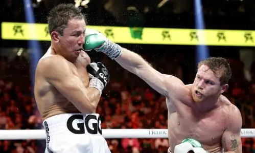 Головкин келажаги ҳақида баёнот берди