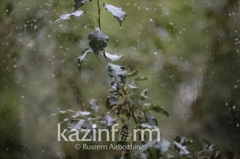 Дам олиш кунлари қандай об-ҳаво кутилади