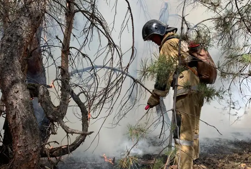 Пожар в Костанайской области был не природного происхождения – Минэкологии