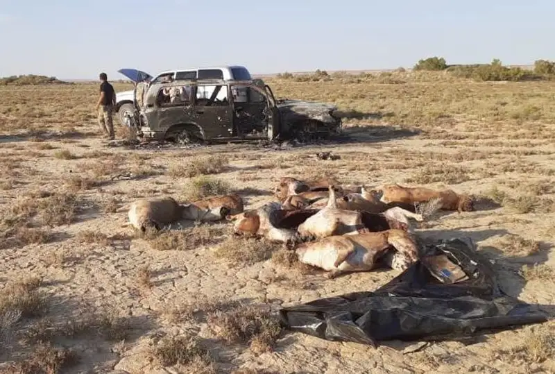 قىزىلوردادا 17 اقبوكەندى اتقان ادام ۇستالدى