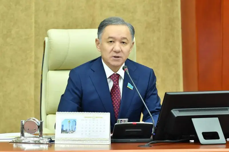 尼格马图林总结第七届马吉利斯第一会期工作成果