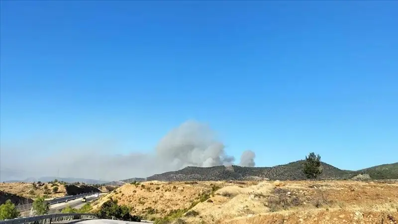 Туркиянинг Мерсин шаҳрида ўрмон ёнғинлари ўчирилмоқда