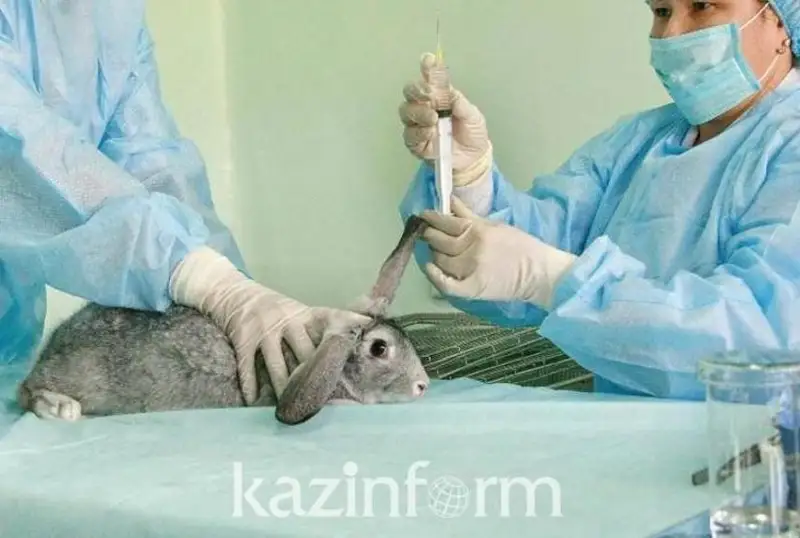 Қозоғистонда ветеринария ходимларининг касб байрами тасдиқланади