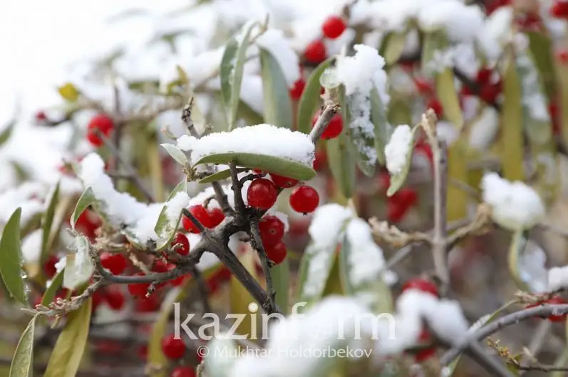 国际气象总局：北部地区将迎来降雪天气