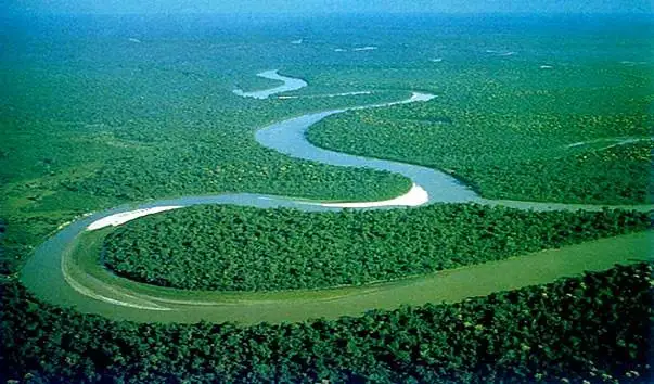 جەر بەتىندە جۇرەك اۋرۋىمەن اۋىرمايتىن تايپا بار