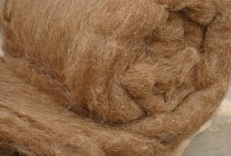 Экспорт шерсти увеличился в 3,8 раза в Казахстане