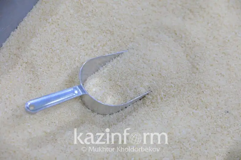 Qazaqstan óndirgen kúrish ishki qajettilikti jabýǵa tolyq jetedi