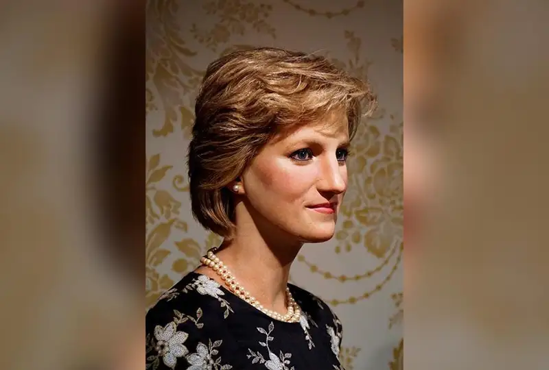 Малика Диананинг жемпери ким ошди савдосида 50-80 минг долларга сотилади