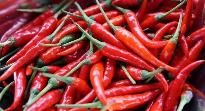 Ўзбекистон 2 ойда Қозоғистонга 1,8 минг тонна қалампир экспорт қилган