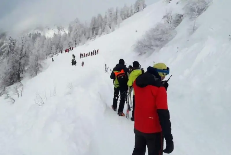 Алп тоғ-чанғи курортларида қор кўчкиси оқибатида 13 киши ҳалок бўлди