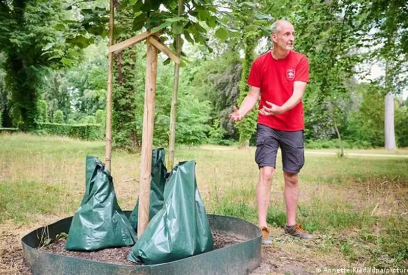 Германиядаги иссиқ ҳаво ғалла ҳосилига таъсир қилди