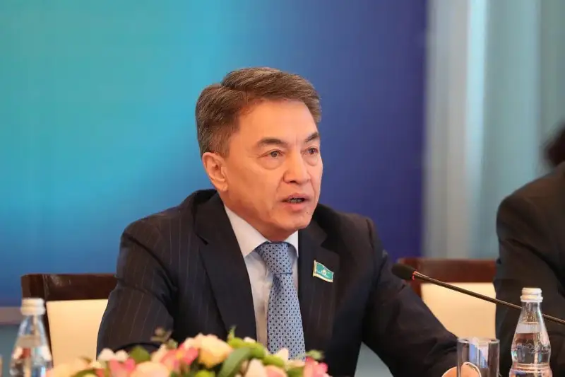 Шәкіров: Балаларды буллингтен қорғайтын заң мақсаты – қоғамды ғаламтор дертінен сақтандыру