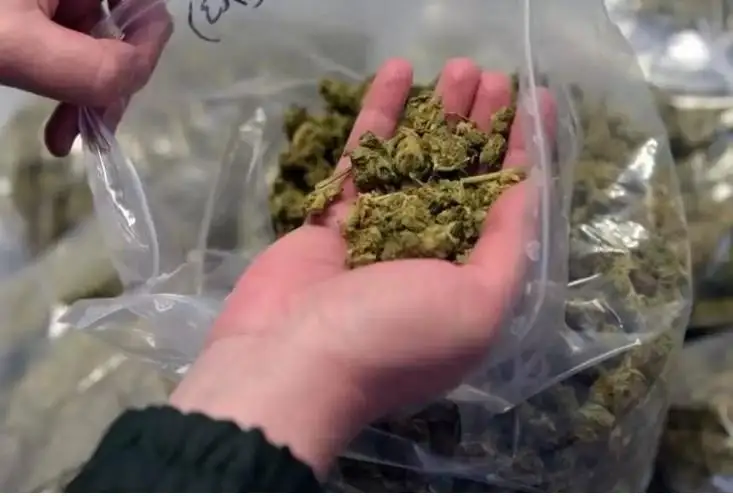 استانا تۇرعىنى تاكسيمەن 5 كەلىگە جۋىق ماريحۋانا اكەلە جاتقان