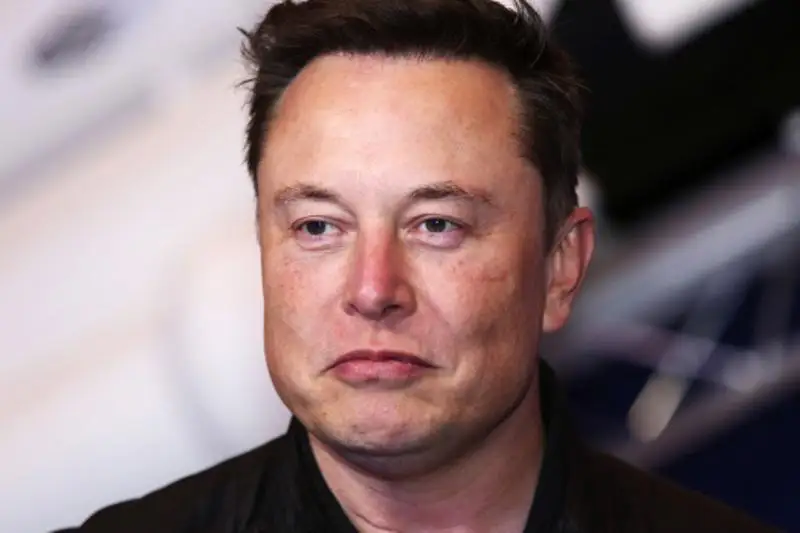 马斯克贴图暗讽 比特币反弹走势戛然而止